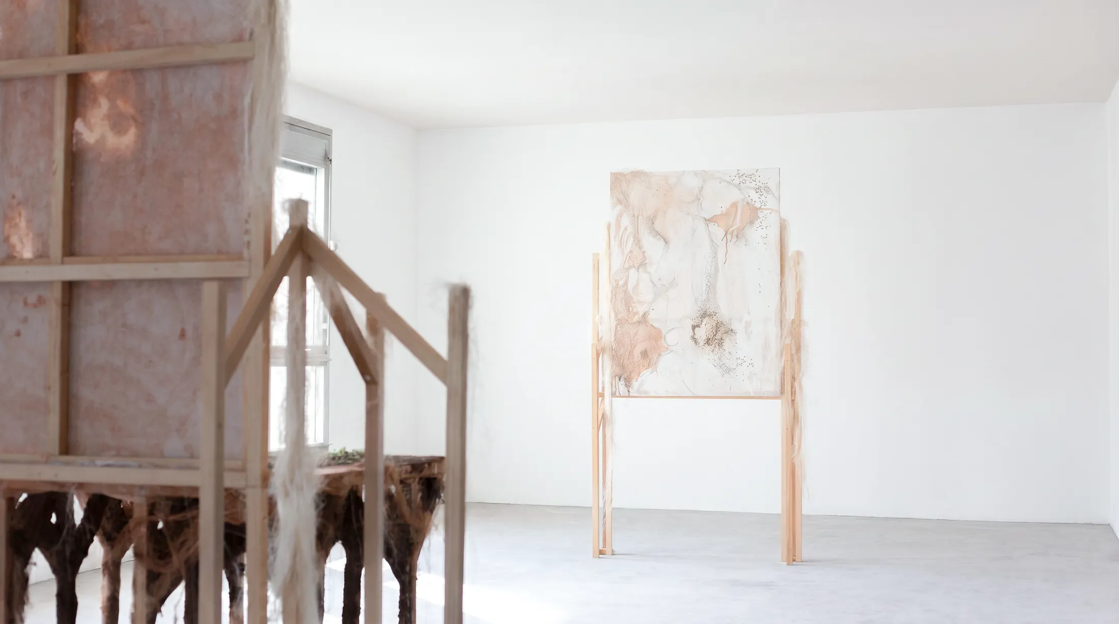 Ensemencés (série de 5), 2024. Argile, graines, eau, latex, toile et bois, dimensions variables