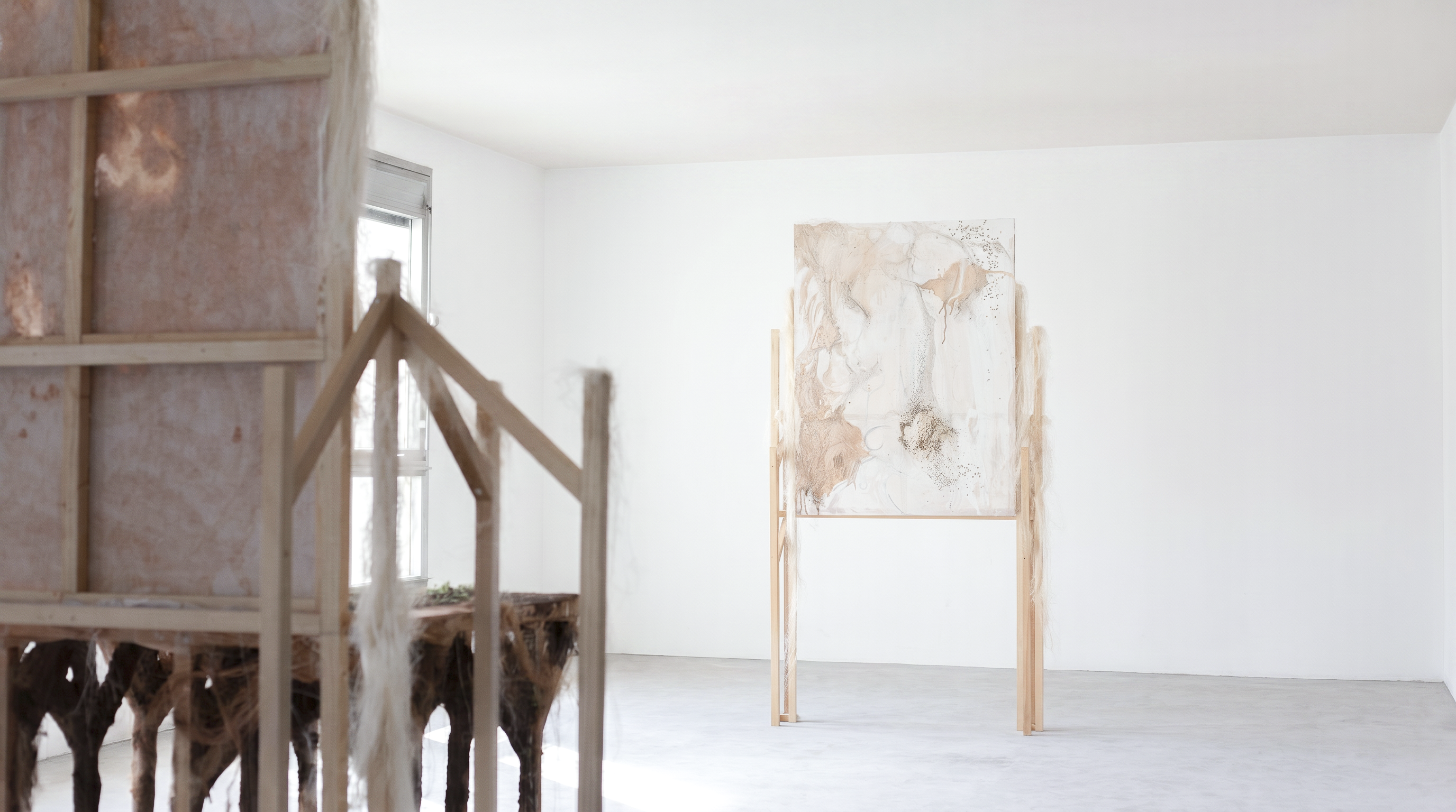 Sown (series of 5), 2024. Clay, seeds, water, latex, canvas and wood, variable dimensions